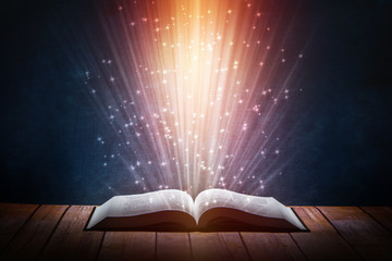 家中放什么花最旺宅（盘点九种旺财又旺宅的植物）