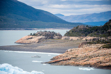 家中放什么花最旺宅（盘点九种旺财又旺宅的植物）