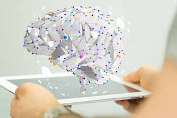 大型猫科动物有哪些