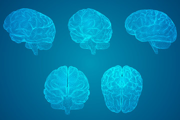 中央一台电视台节目表