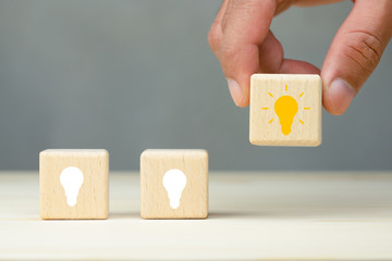 家中放什么花最旺宅（盘点九种旺财又旺宅的植物）