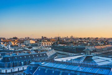 家中放什么花最旺宅（盘点九种旺财又旺宅的植物）