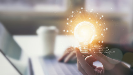 大型猫科动物有哪些