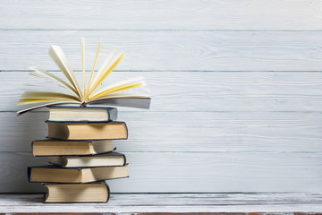 大型猫科动物有哪些