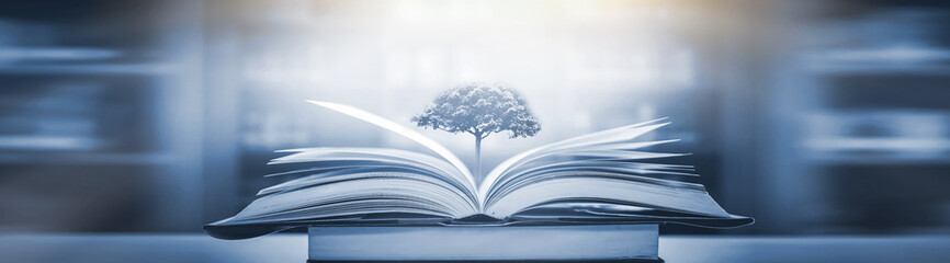 家中放什么花最旺宅（盘点九种旺财又旺宅的植物）