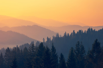 中央一台电视台节目表