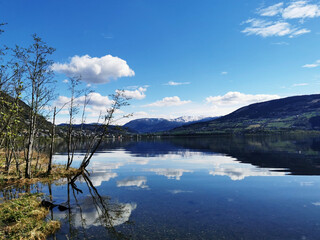 bbc纪录片在哪看免费