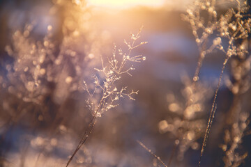 初中必读的经典科普读物