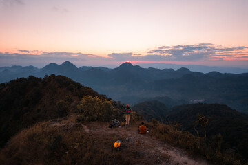 大型猫科动物有哪些