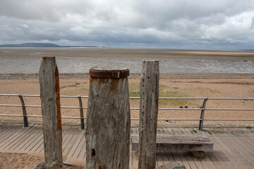 五年级下册科学题现在的家鸡是怎么来的-
