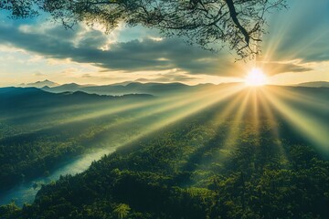 五年级下册科学题现在的家鸡是怎么来的-