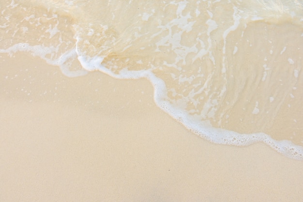 保护环境手抄报简单好看精选