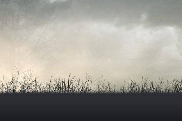 家中放什么花最旺宅（盘点九种旺财又旺宅的植物）