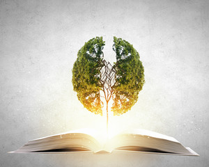 保护环境手抄报简单好看精选