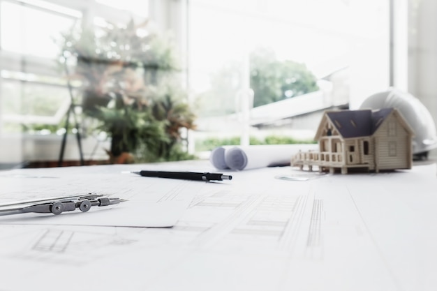 家中放什么花最旺宅（盘点九种旺财又旺宅的植物）