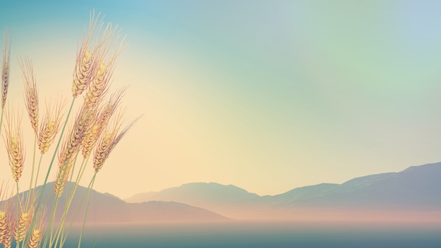 初中必读的经典科普读物