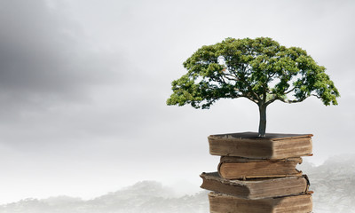 花卉是什么意思