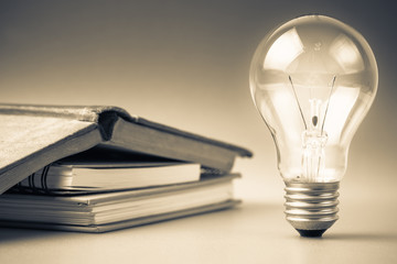 家中放什么花最旺宅（盘点九种旺财又旺宅的植物）