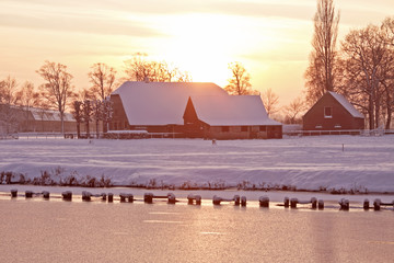 中央一台电视台节目表