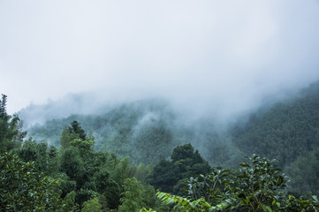 亚运会体育精神